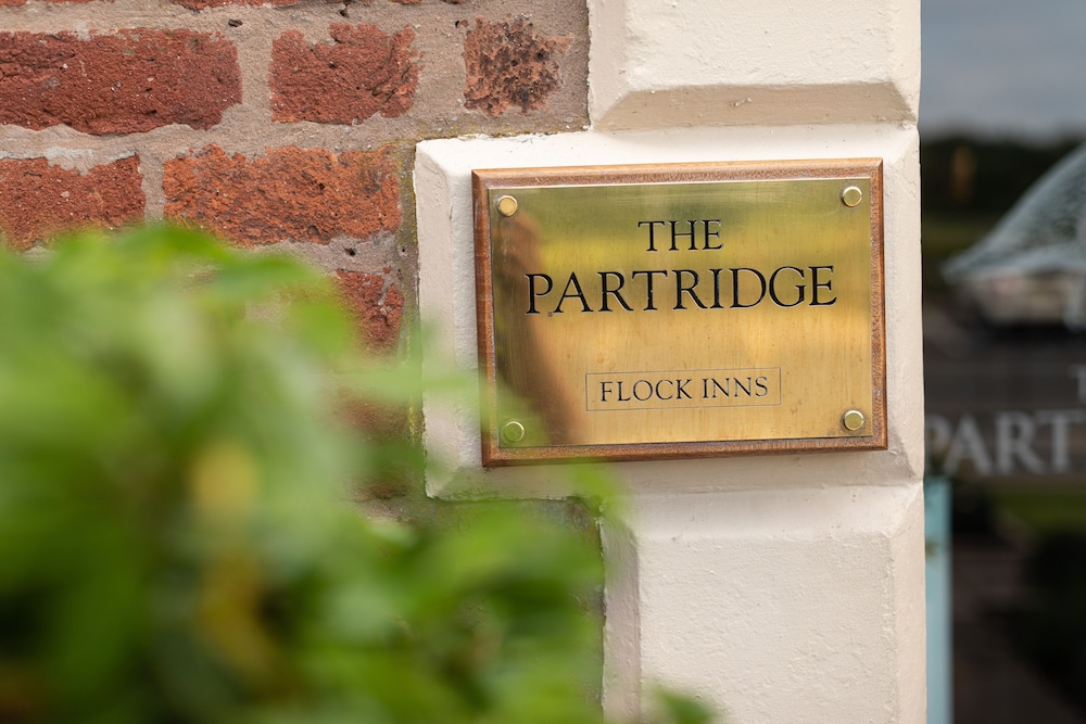 The Partridge