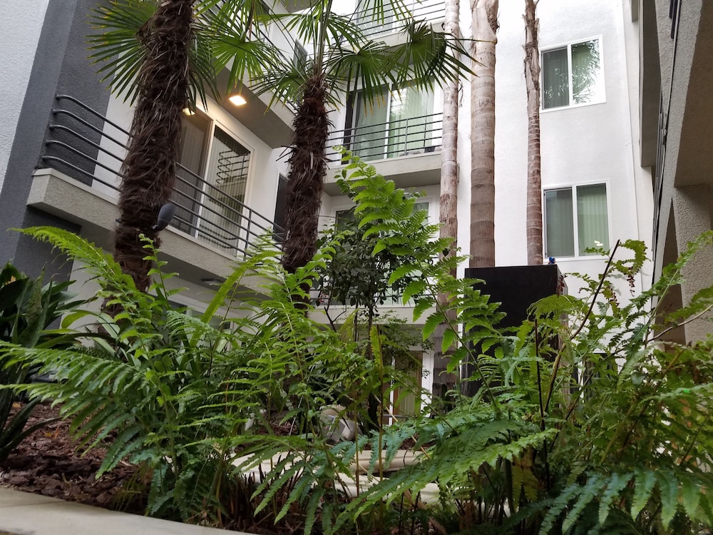 Prime Location For UCLA Students S209