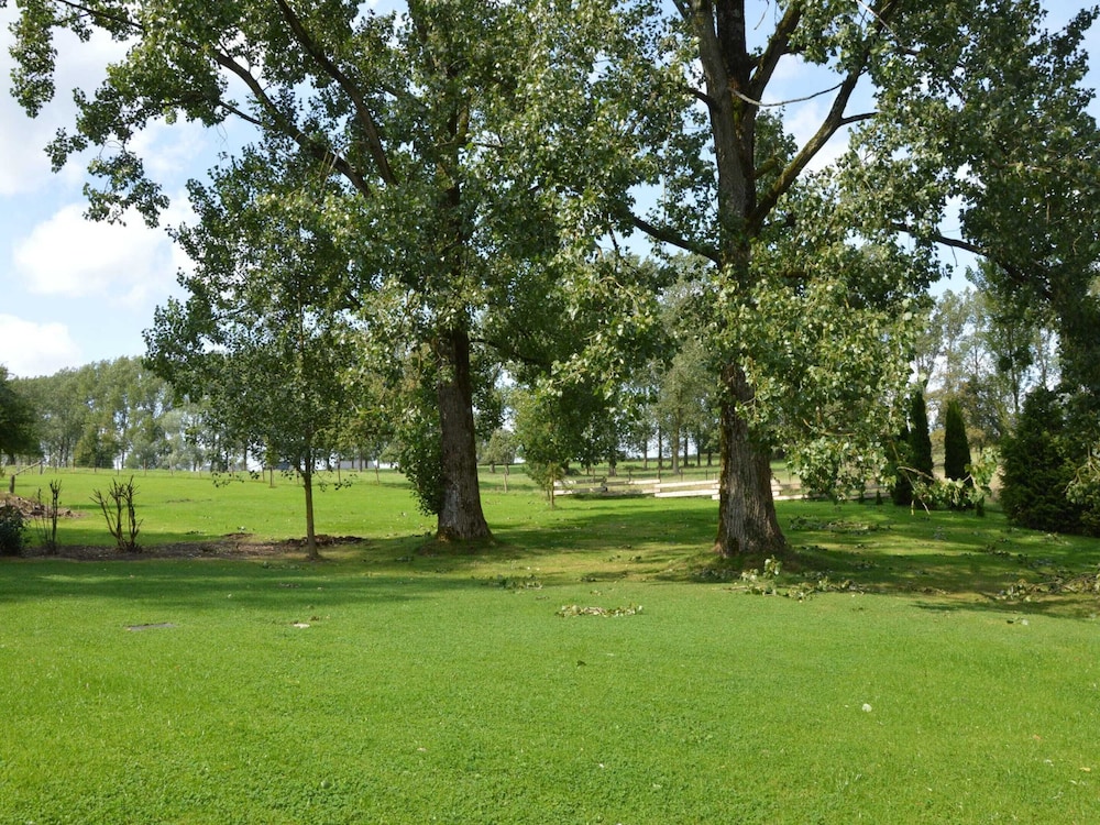Photo 31