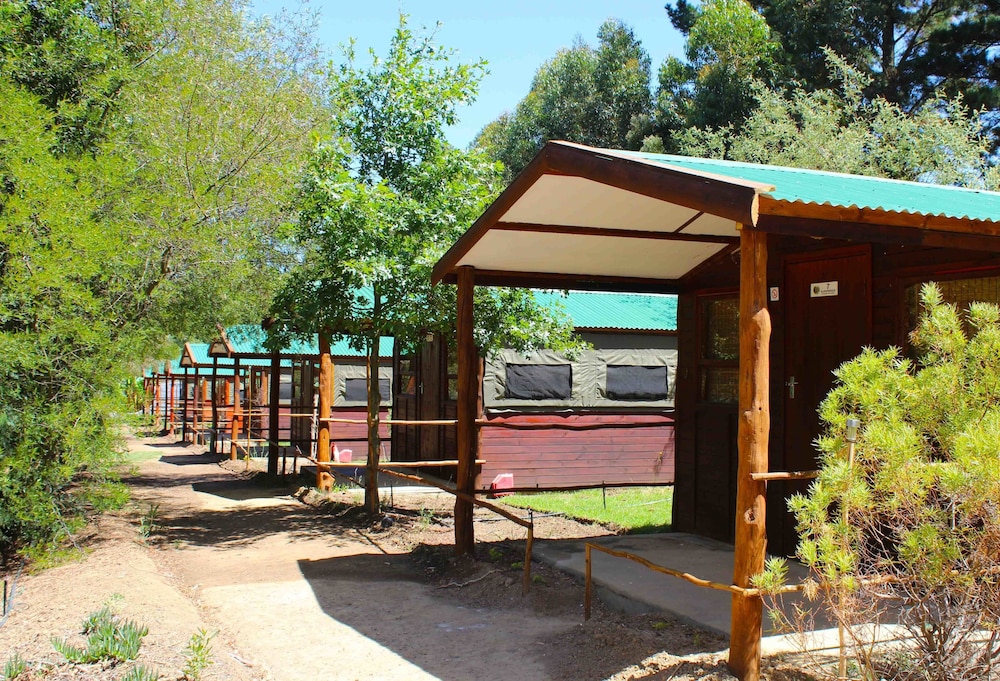 Tri Active Lodge
