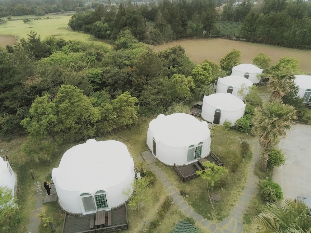 jeju domgrami