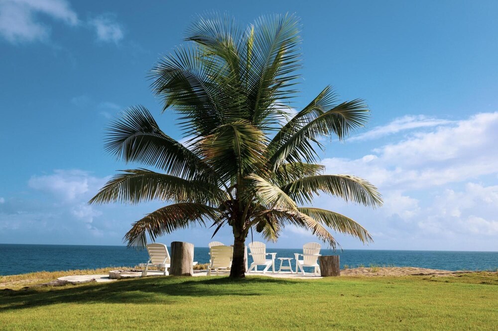 Casa Los Sue os in Punta Cana view 3
