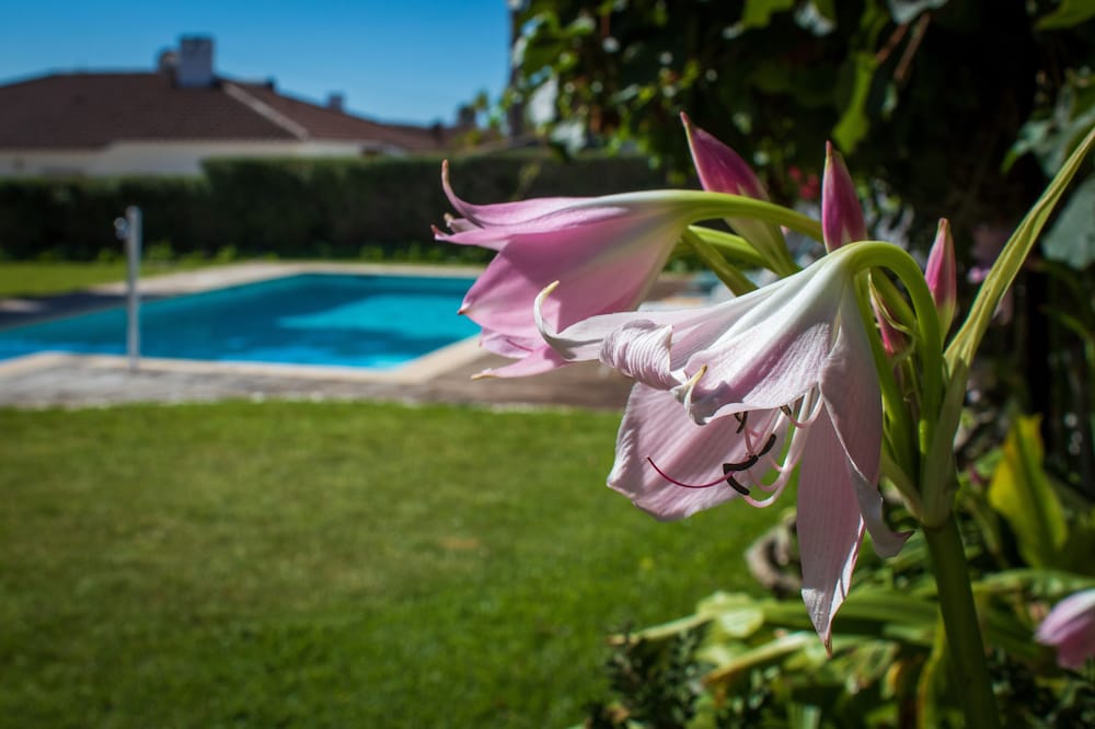 Limmo Garden Guest House