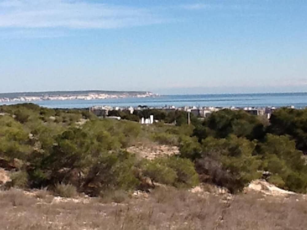 Photo 43