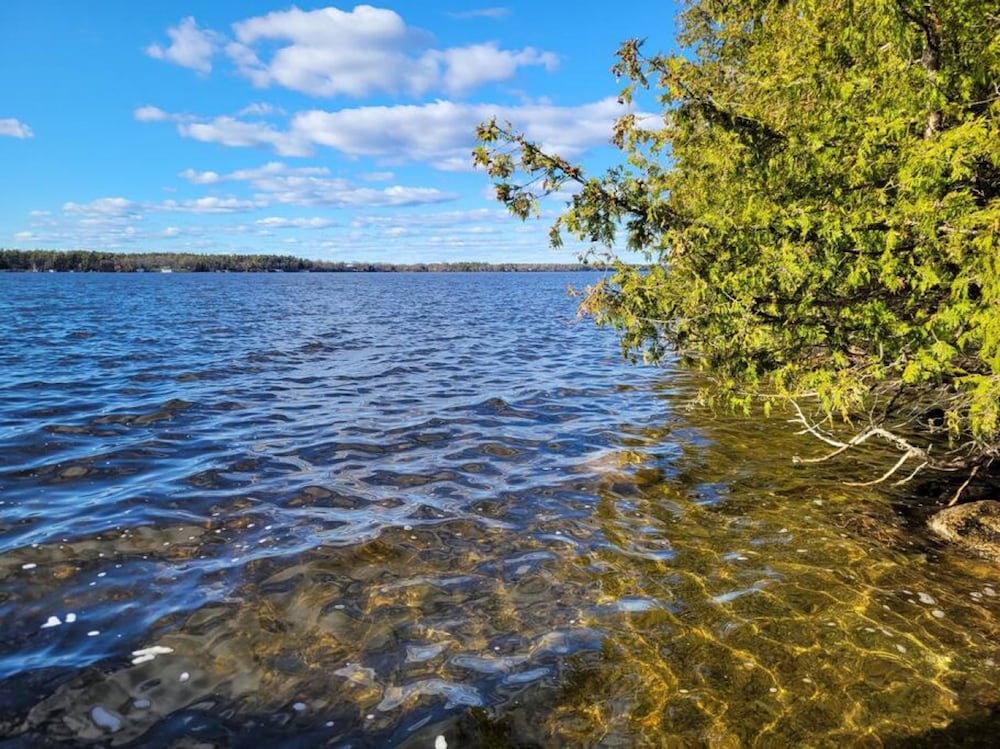 Rustic Pines Waterfront Cottage Clear Water