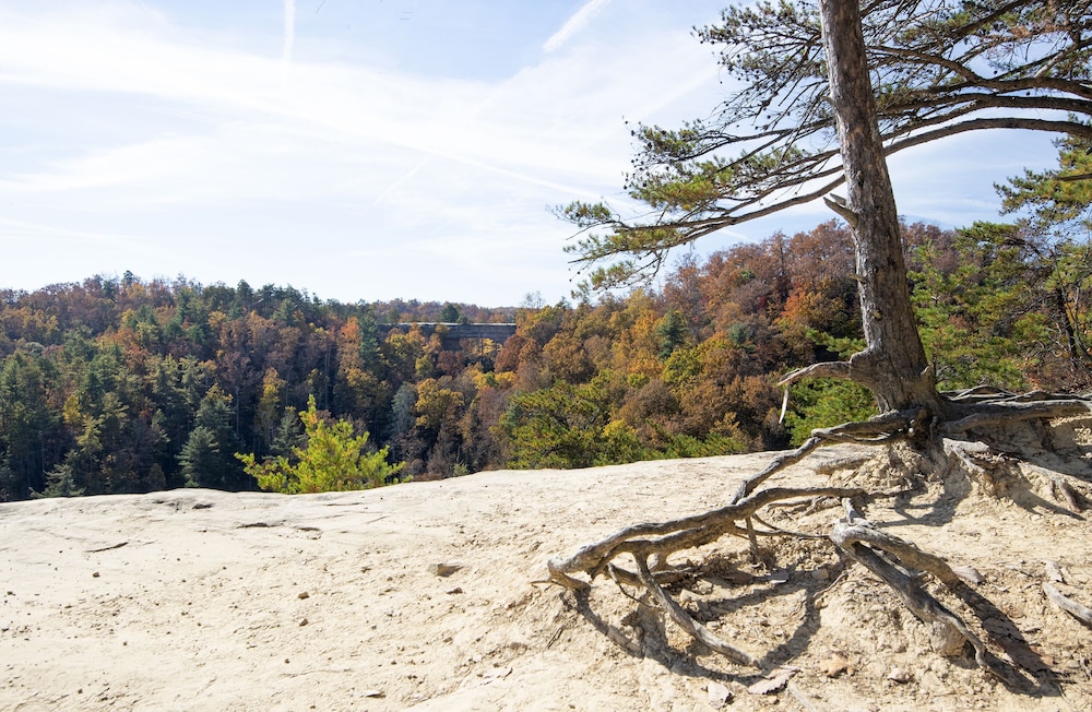 Natural Bridge State Resort Park