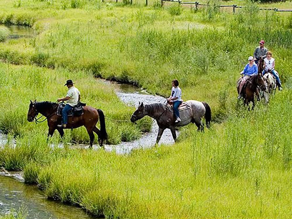 The Cabins At Snake River Sporting Club