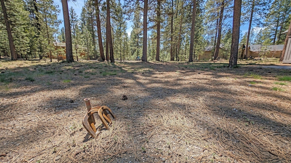 Pine Cone 3 6 Bedroom Home