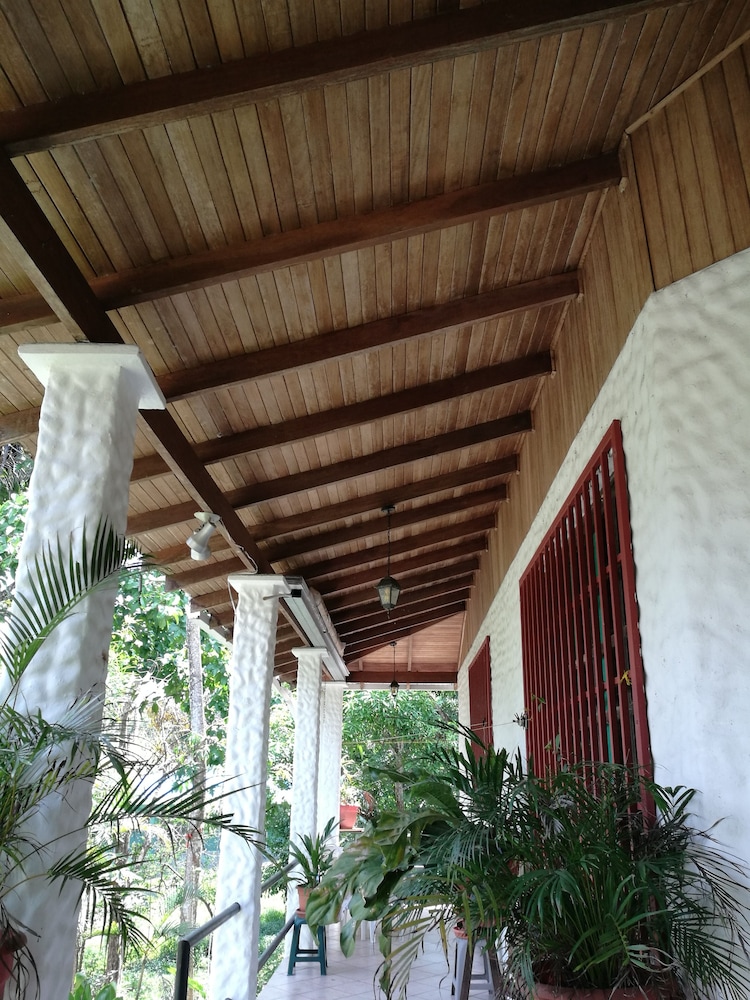 Photo 53