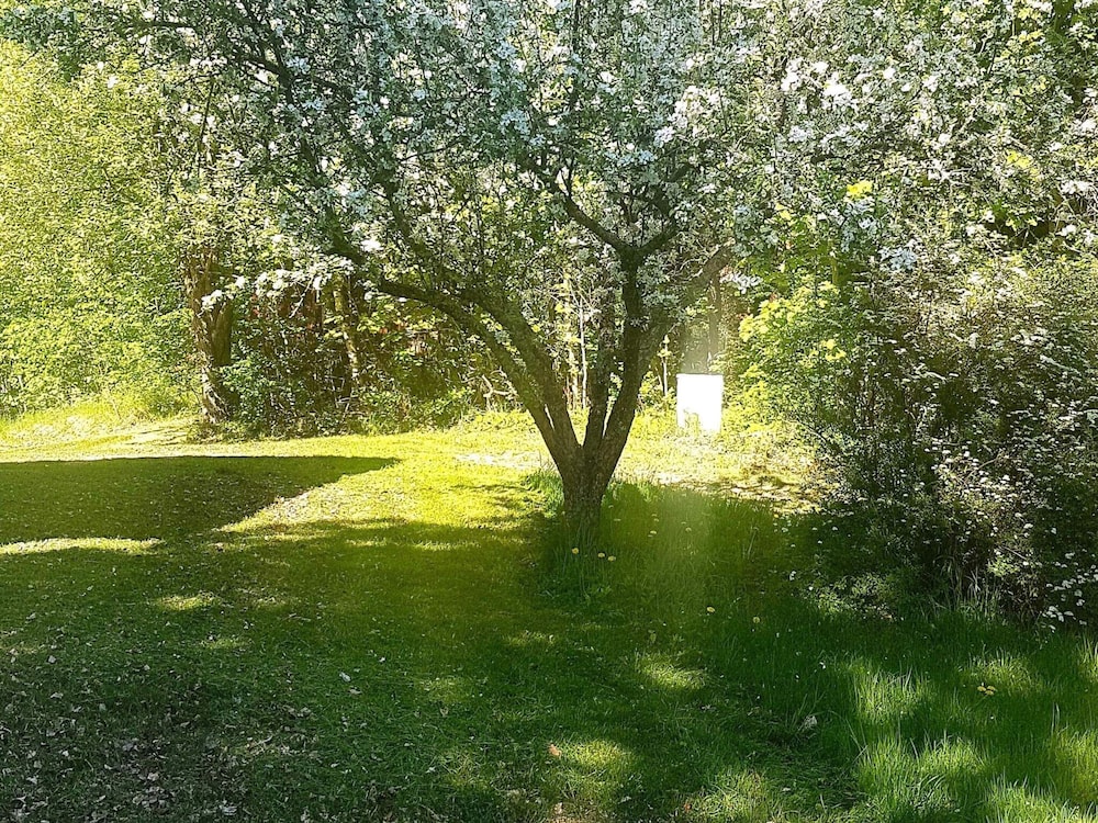 Photo 26