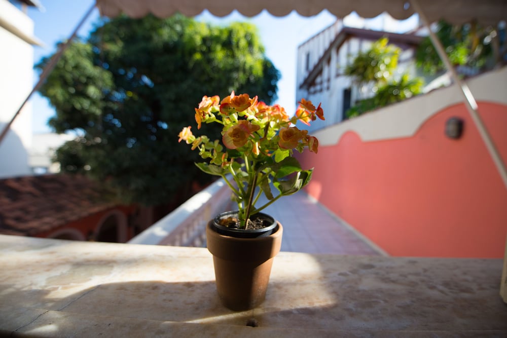 Casa Francisco Guest House