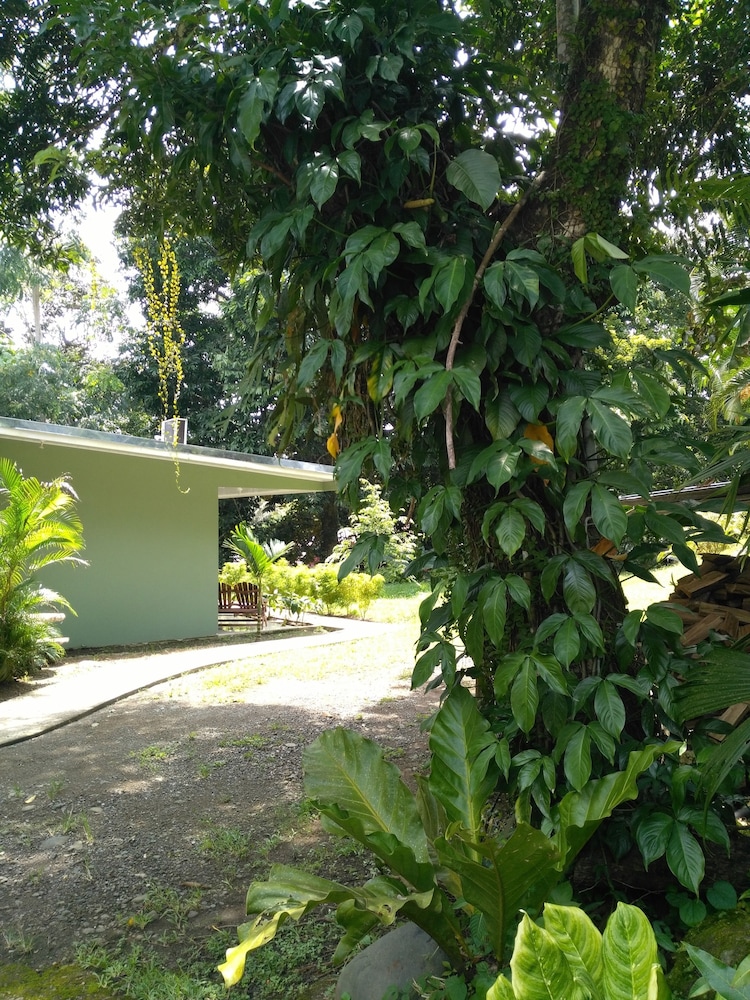 Manuel Antonio Hostel Resort