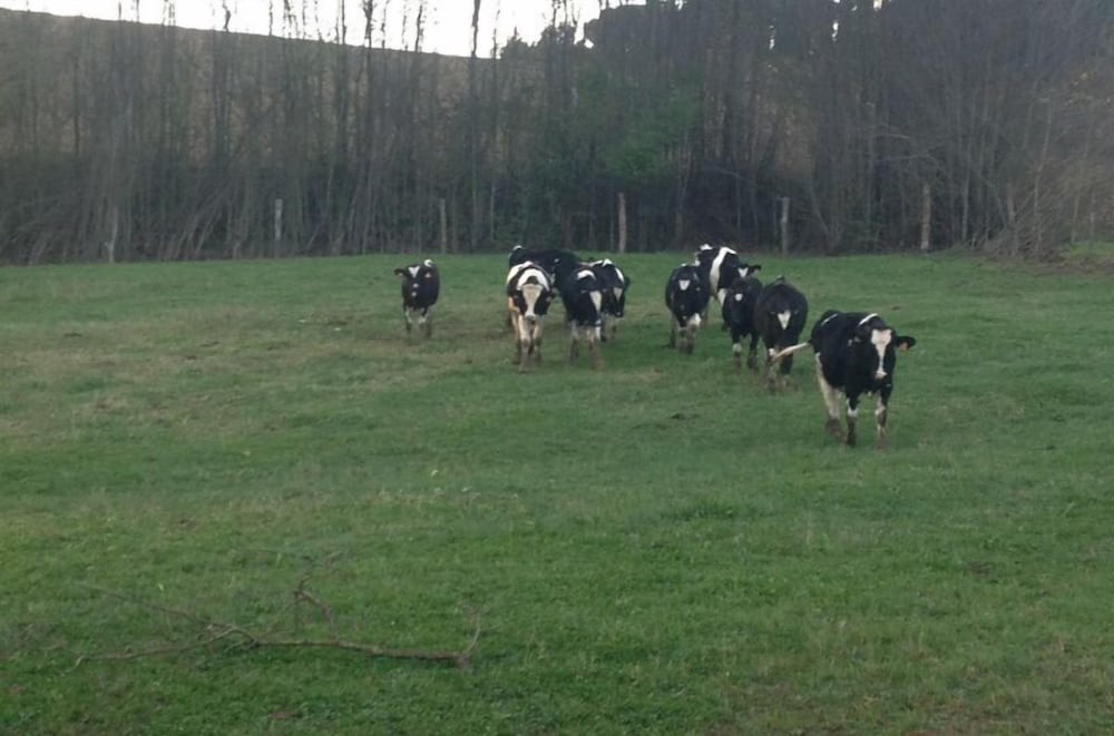 Agriturismo San Giovanni
