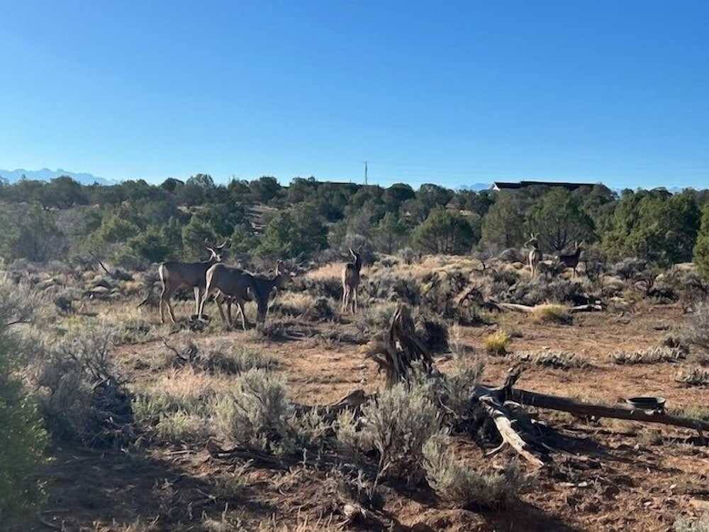 Whispering Deer Retreat 3 Bedroom Home