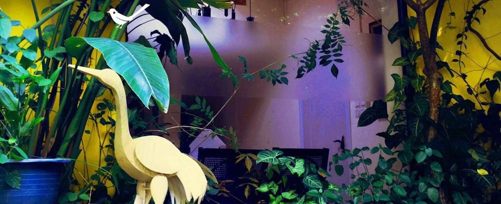 Sharemood Guest House