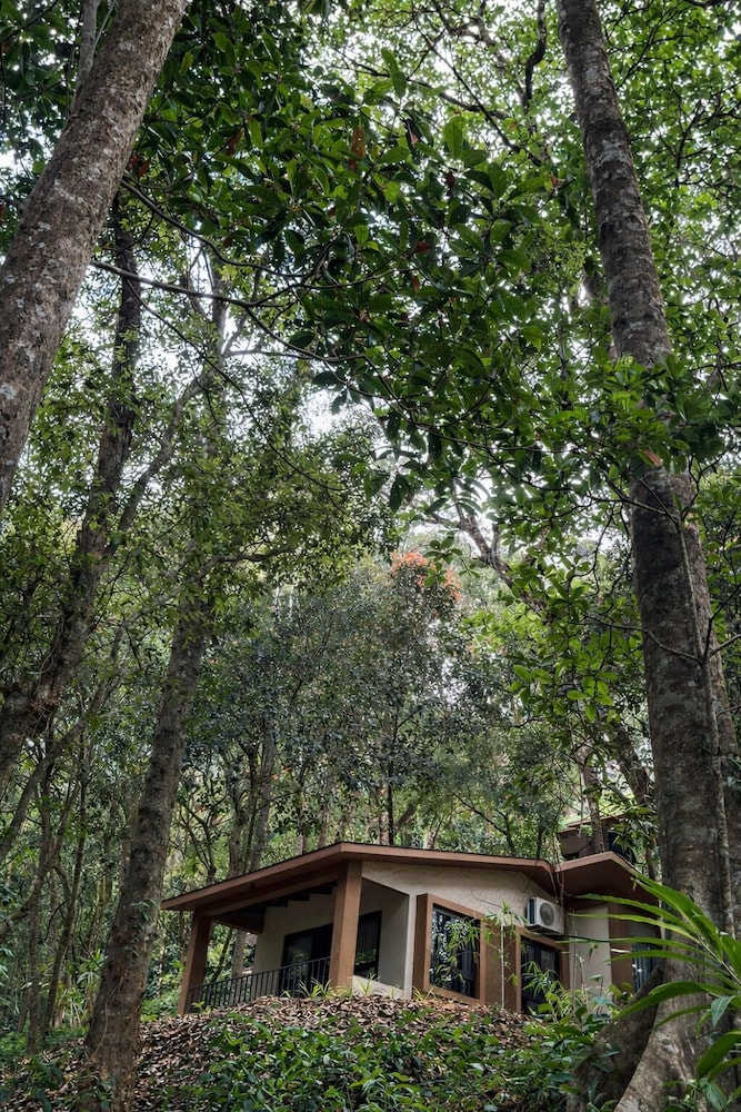 Nirjhara Coorg