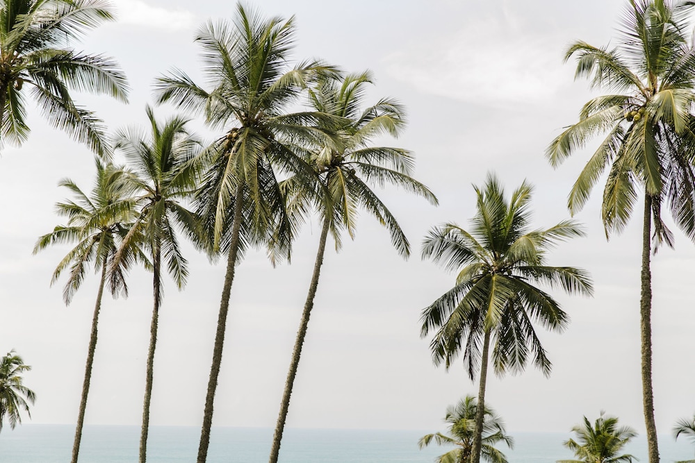 Nuga Eden Tangalle