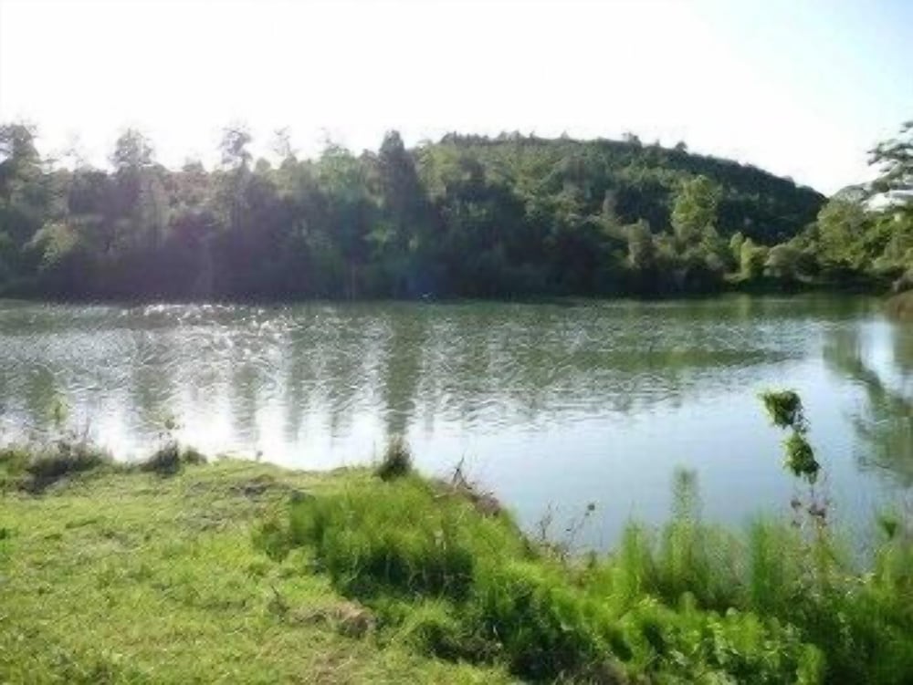 Photo 43