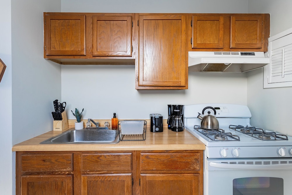 1BR Apt in Lincoln Park - Lincoln 3E