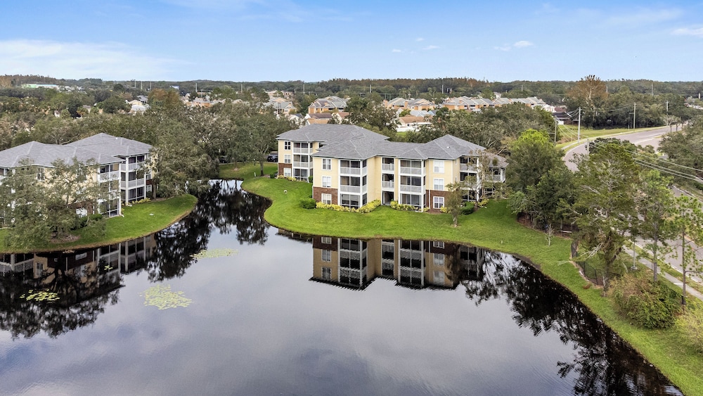 The Urban Oasis Serene Views!