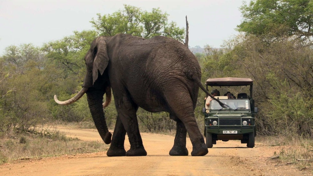 Kruger Park Tours view 3
