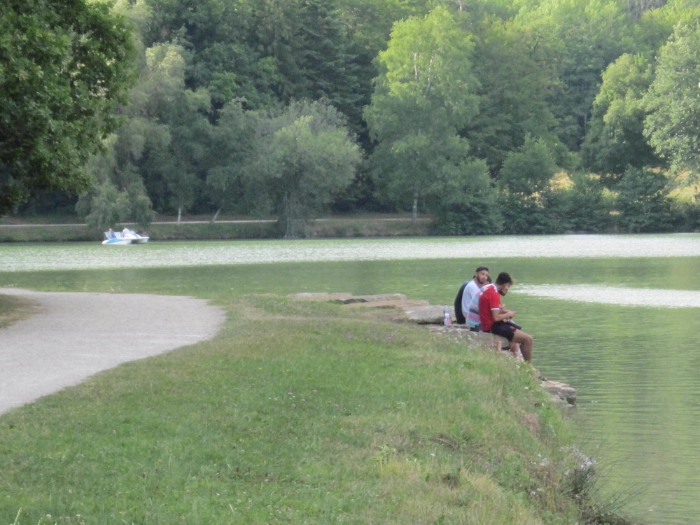 Photo 15