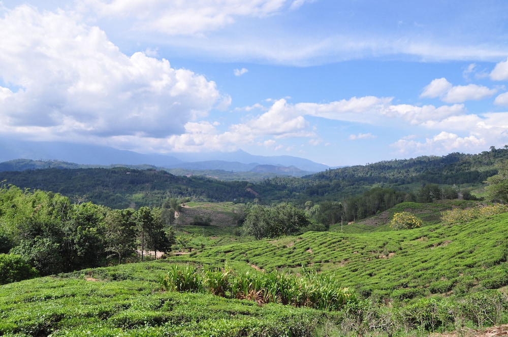 Sabah Tea Resort