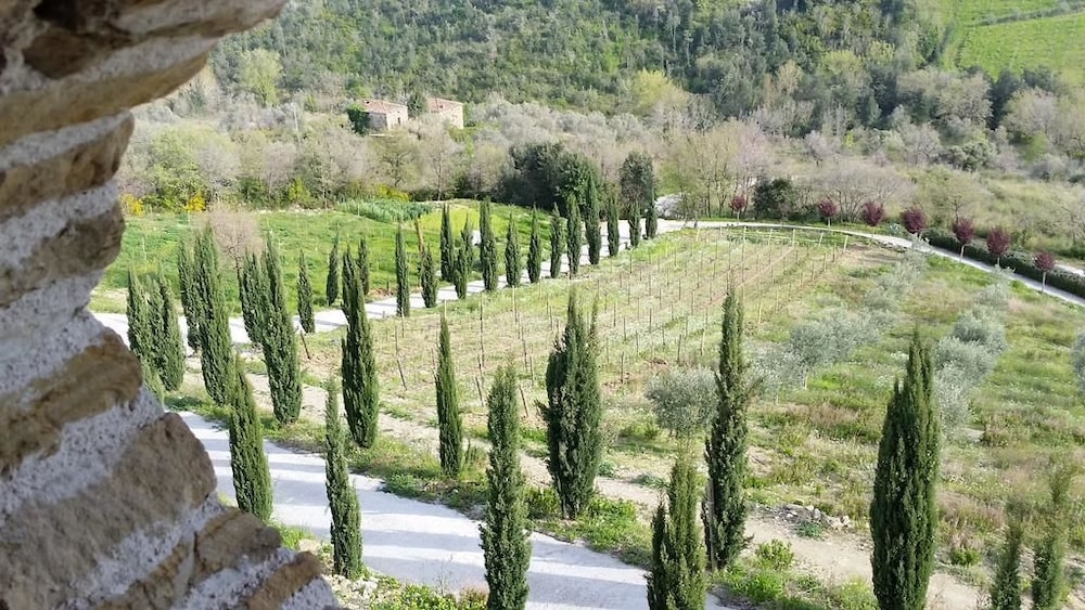 Feudi Enchestre B&B, Bilde 11