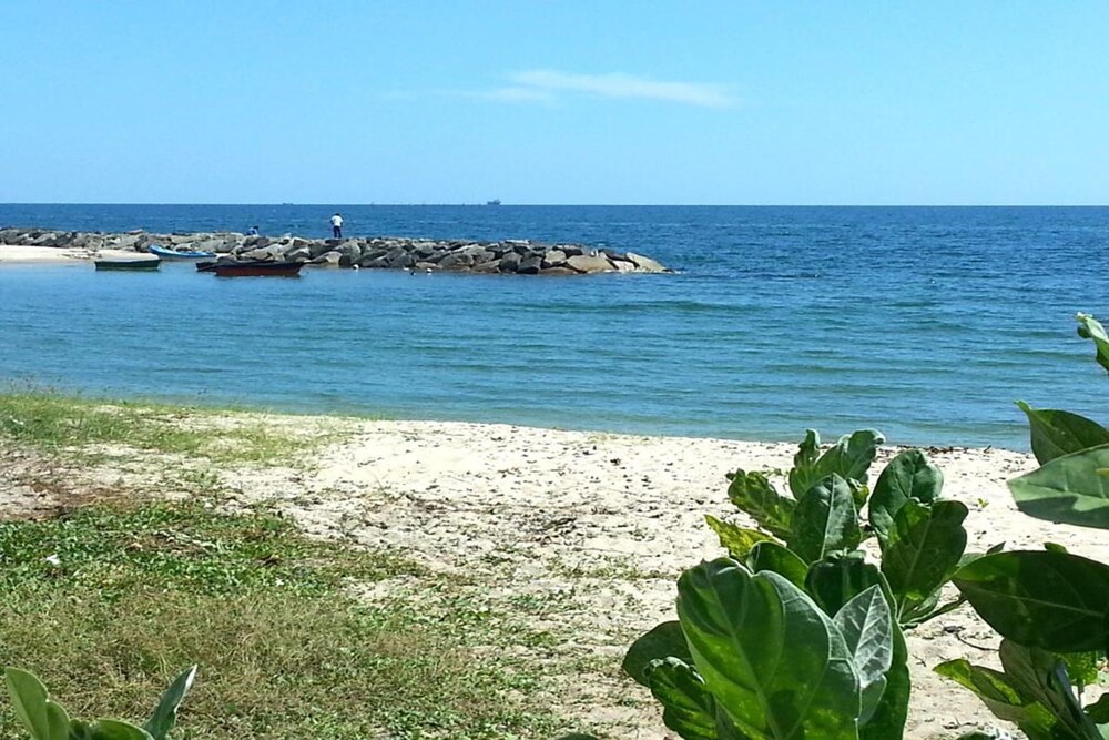 Banrublom