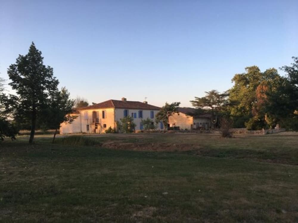 Photo 19
