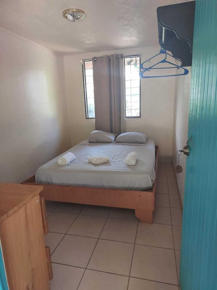 Blue Iguana - Property Image 10