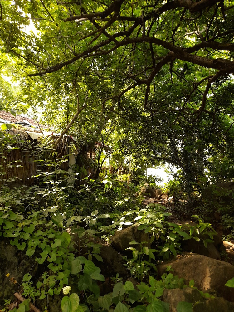 Cabañas El Bamboo
