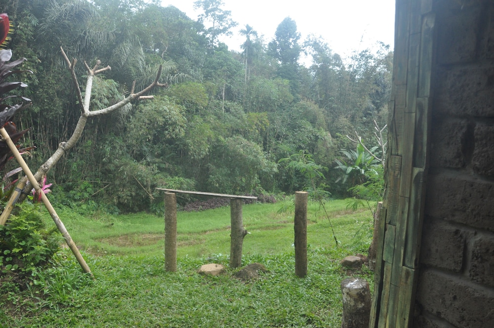 Tepi Sawah Lodge