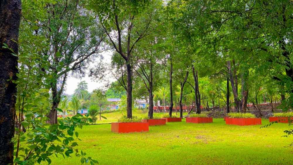 Rustic River Resort