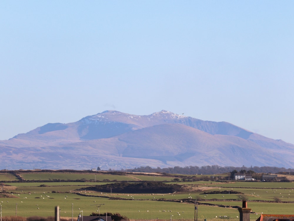 Plas Gwylan