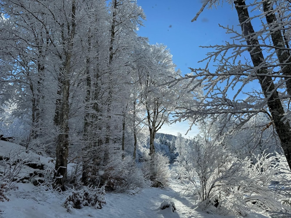 Vercors Intense