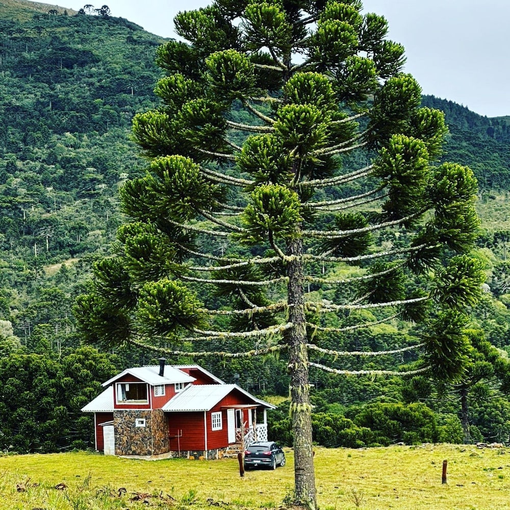 Villa das Araucarias - Urubici - SC