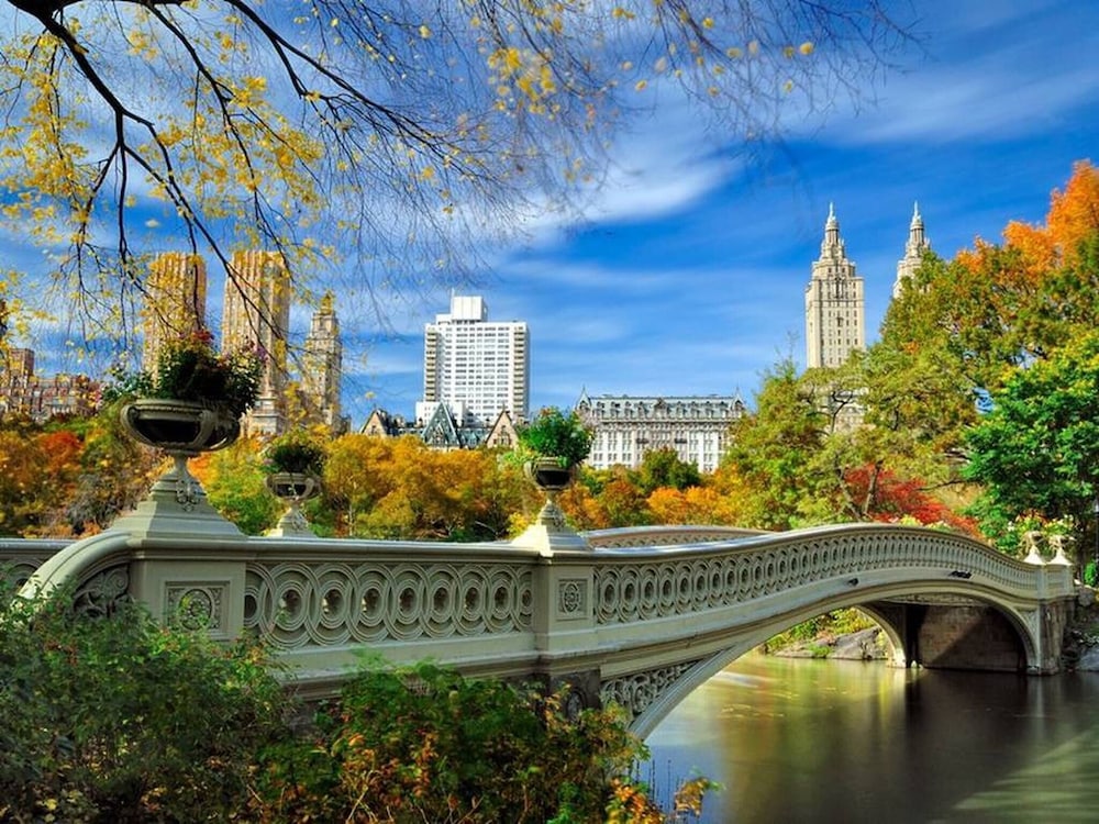 Charming Studio Half Block To Central Park Uws