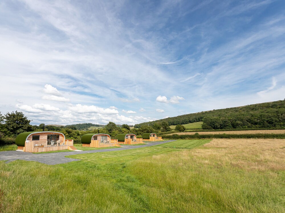 Low Longlands