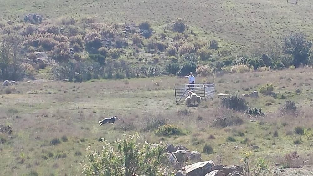 Agriturismo Pian dei Lupi