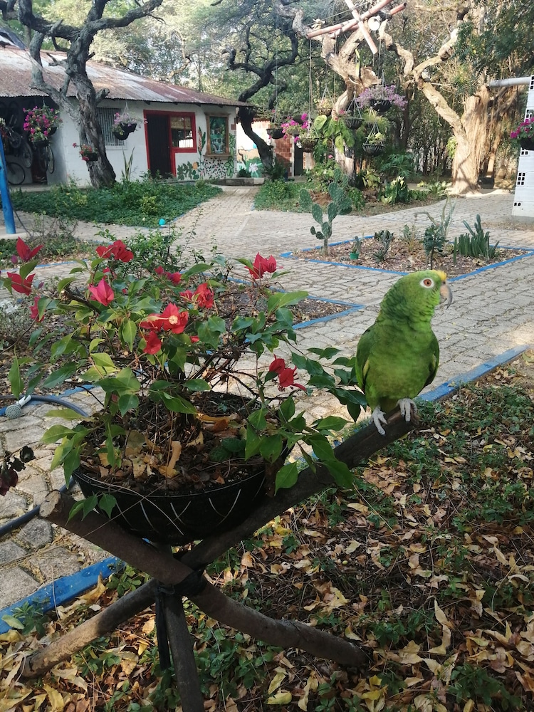 FINCA ECOTURISTICA LOS JAGUEYES