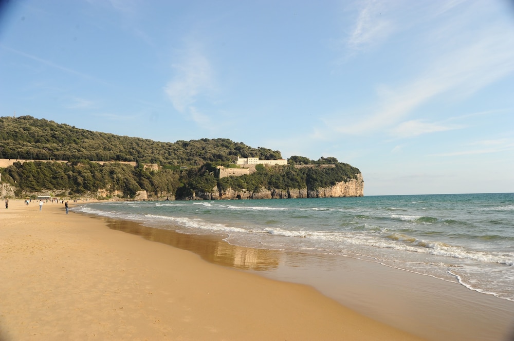Photo 45