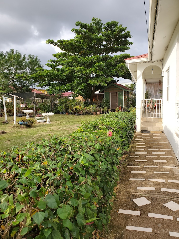 Photo 6