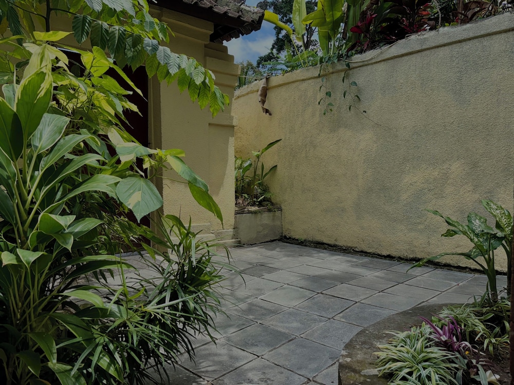 Blue Lotus Ubud
