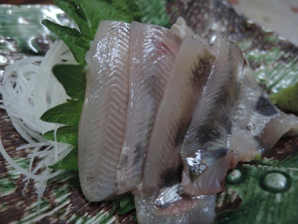 Mizuwake Minshuku Mura