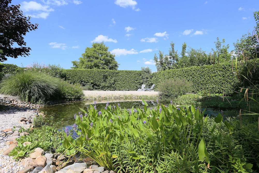 Photo 44