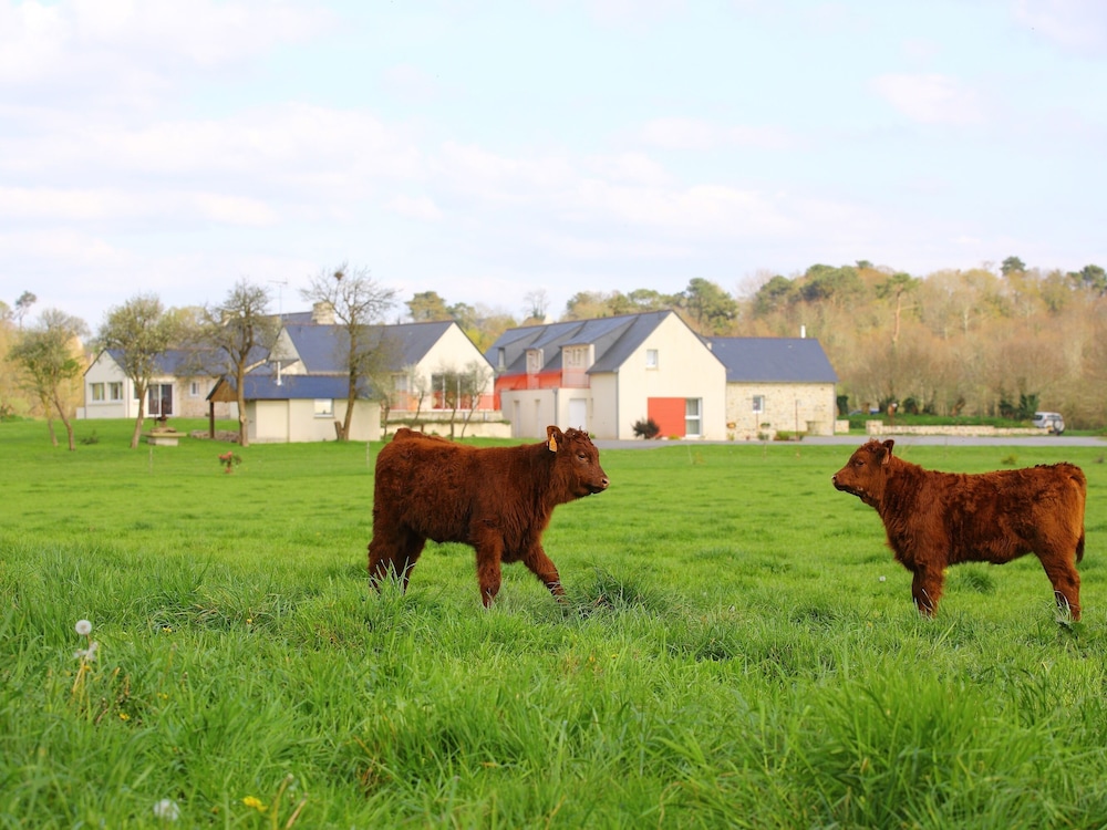 Gîte 3 Étoiles 6 Personnes - la Ferme de Vur Ven