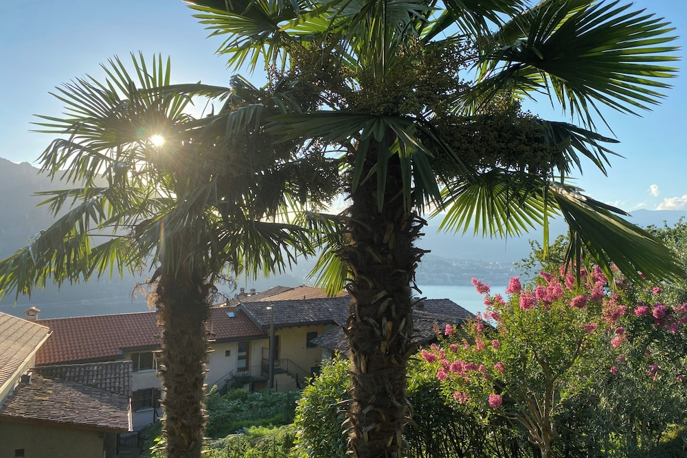 Romantic Pergola