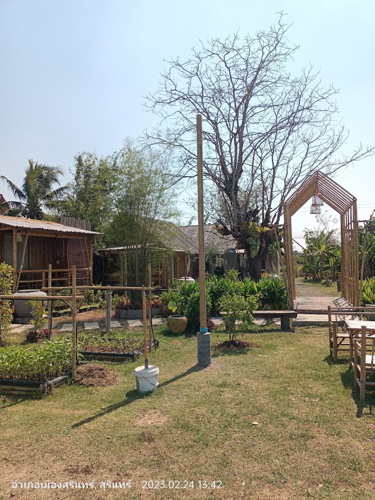 Bamboo Conservation Farm