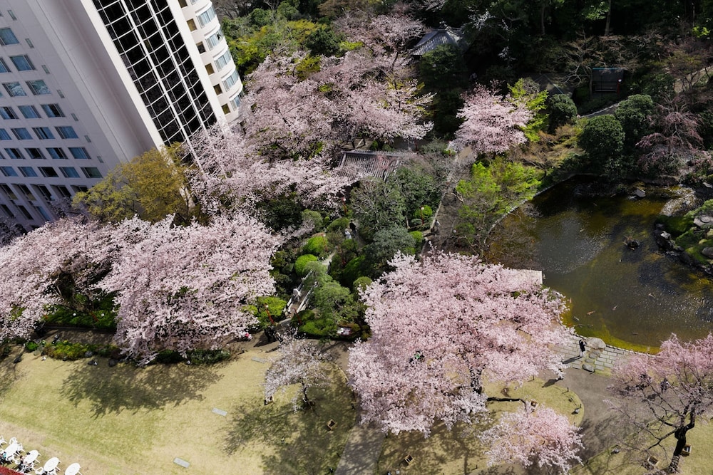 Grand Prince Hotel Shin Takanawa 53